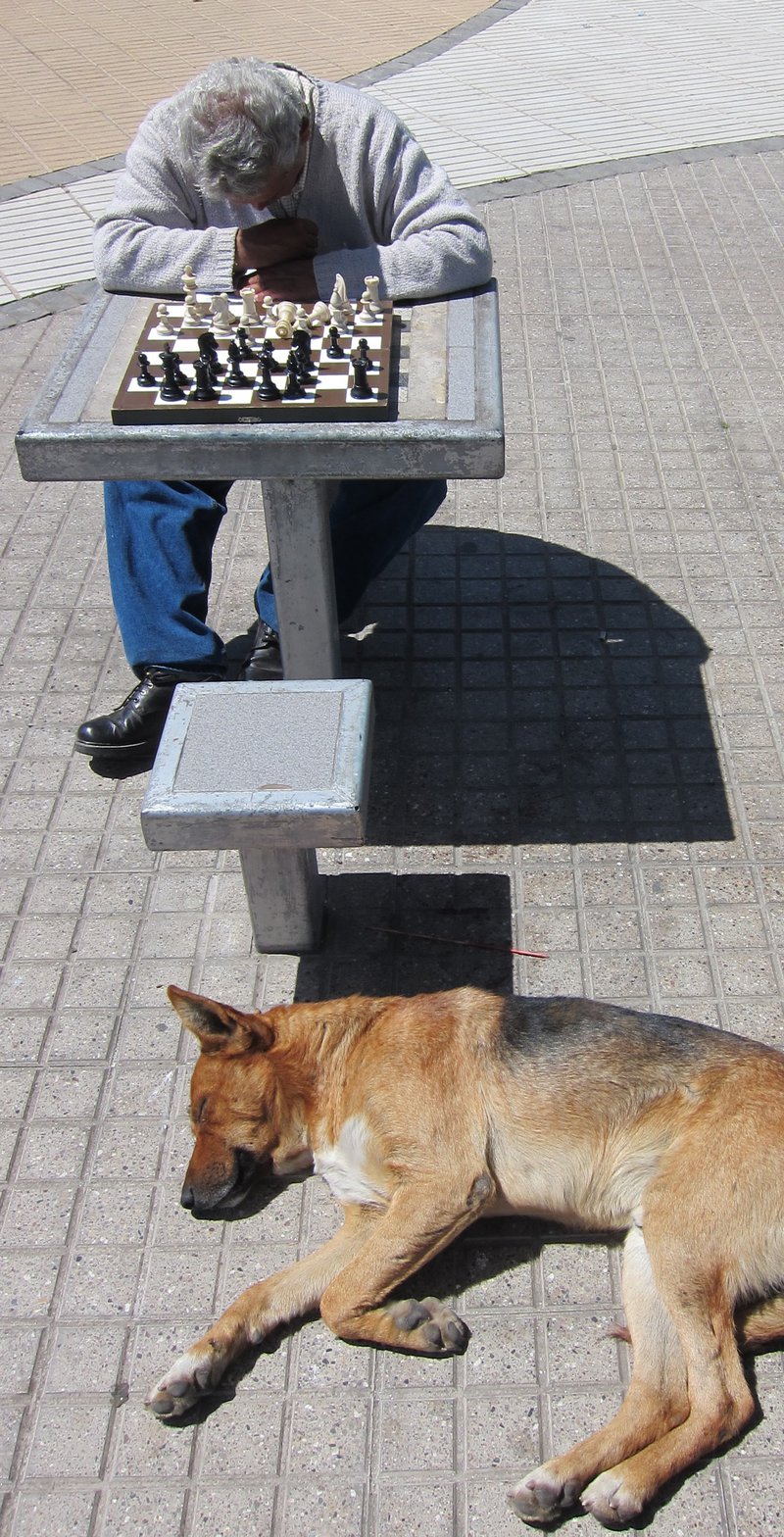 A man asleep over a chessboard, with a dog asleep at his feet